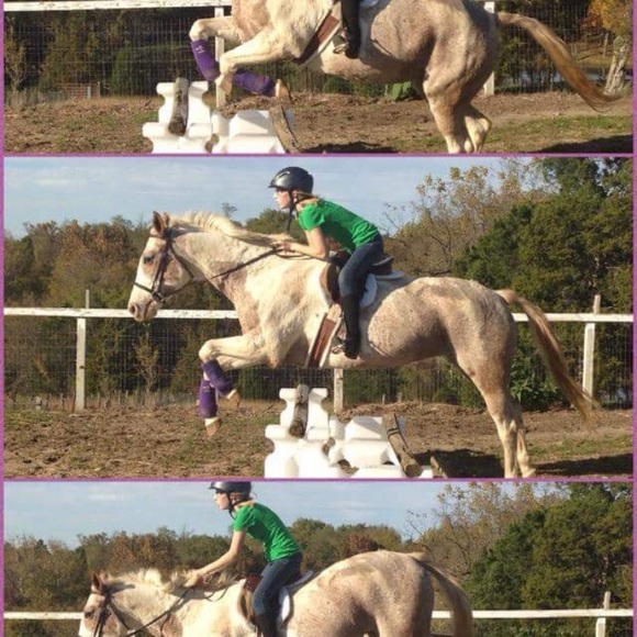 Meet your Posher, E - Picture 5 of 10